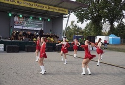 SwP (68)