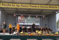 SwP (43)