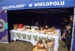 SwP (33)