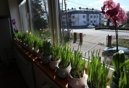 Śniadanie Wielkanocne (9)