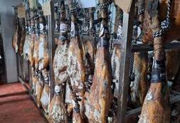 Wyjazd studyjny Sevilla (26)