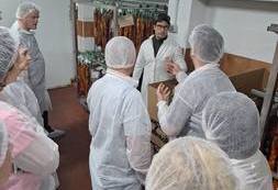 Wyjazd studyjny Sevilla (20)