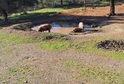 Wyjazd studyjny Sevilla (19)