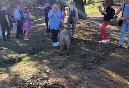 Wyjazd studyjny Sevilla (18)