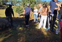 Wyjazd studyjny Sevilla (17)