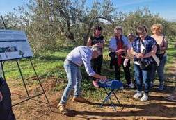 Wyjazd studyjny Sevilla (8)