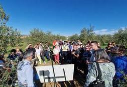 Wyjazd studyjny Sevilla (6)