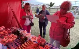 Galeria aktualności II Festiwal Letnich Smak&oacute;w 1