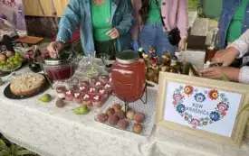 Galeria aktualności II Festiwal Letnich Smak&oacute;w 11