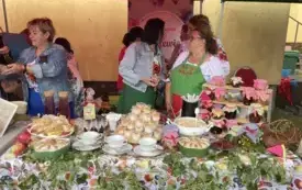 Galeria aktualności II Festiwal Letnich Smak&oacute;w 13