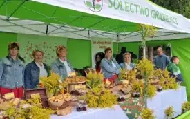 Galeria aktualności 18. Dni Gminy Rzg&oacute;w oraz 11. Bieg Służb Mundurowych 11