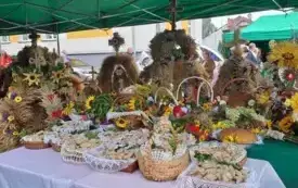 Galeria aktualności DOŻYNKI POWIATOWO-GMINNO-PARAFIALNE W RZGOWIE 5