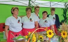 Galeria aktualności DOŻYNKI POWIATOWO-GMINNO-PARAFIALNE W RZGOWIE 8