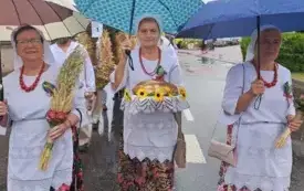 Galeria aktualności DOŻYNKI POWIATOWO-GMINNO-PARAFIALNE W RZGOWIE 29