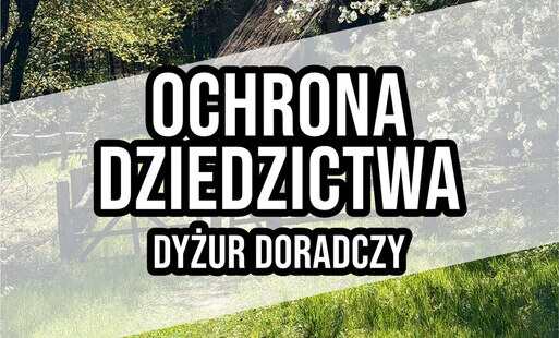 Zdjęcie do DYŻUR DORADCZY - OCHRONA DZIEDZICTWA